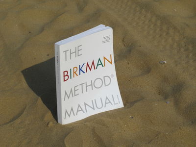 Birkman Interpretation - 1