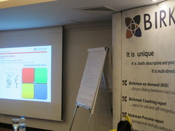 Birkman Koçluk Raporu -Coaching to Birkman Patterns - 3