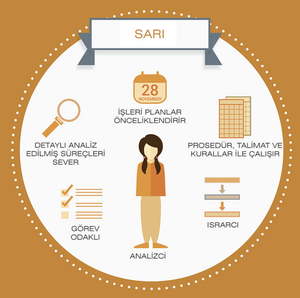 Professional Coaching  services - 4