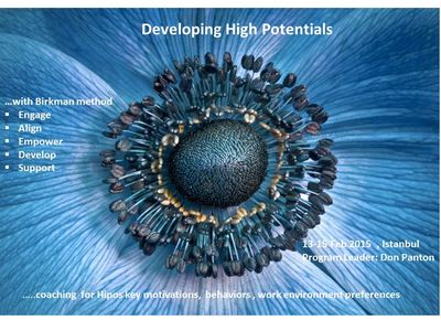 Developing High Potentials_KurumsalRapor - 1